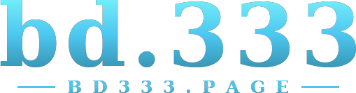 bd.333 logo